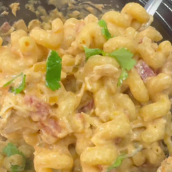 Crockpot Chicken Enchilada Pasta