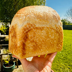 Sourdough Sandwich Loaf