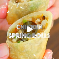 Crispy Chicken Spring Rolls