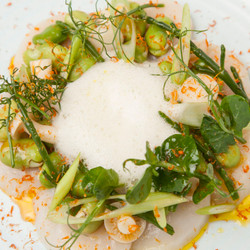 Sous Vide Scallop Soup With Yuzu Marinated Raw Scallop, Summer Greens And Roast Shellfish Oil