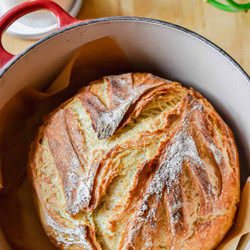 Sourdough Discard Bread (no Knead)
