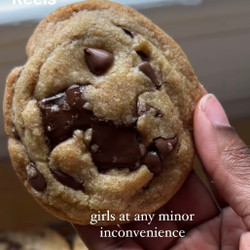 Fluffy Chocolate Chip Cookies