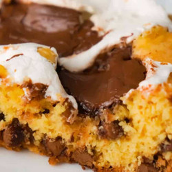 Nutella S'mores Cookie Cake