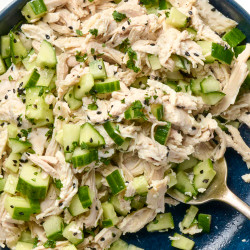 Cucumber Chicken Salad