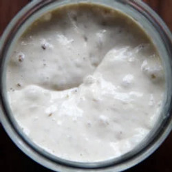 How To Feed, Maintain, And Store A Sourdough Starter