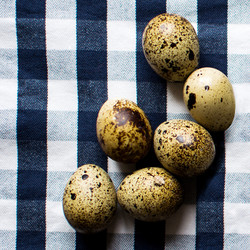 Eggs Drumkilbo