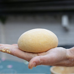Fresh Egg Pasta Dough