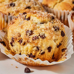 Chocolate Chip Muffins