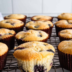 The Best Gluten-free Blueberry Muffins