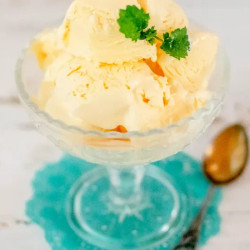 Carnivore Ice Cream