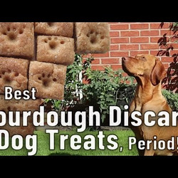 The Best Sourdough Discard Dog Treats