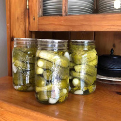 Crunchy Dill Pickles