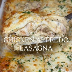 Chicken Alfredo Lasagna