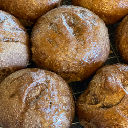 Sourdough Discard Brown Bread Recipe