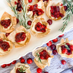 Lightened Up Cranberry Brie Wontons