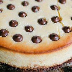 Chocolate Chip Cheesecake