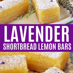 Tangy Lavender Lemon Bars With A Sweet Twist