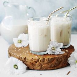 Traditional Mexican Horchata
