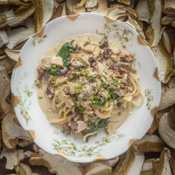 Dried Porcini Pasta