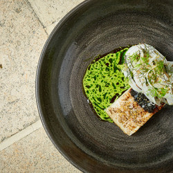 Sturgeon With Caviar, Fennel And Dill Oil