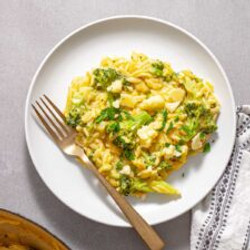 Creamy Broccoli Orzo
