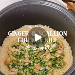 Scallion &amp; Ginger Chicken Rice