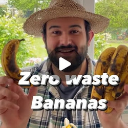 Banana Skin Plant Food And Banana Cinnamon Rolls