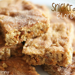 Snickerdoodle Blondies
