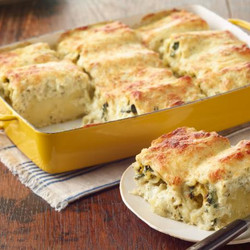 Pesto Lasagna Rolls