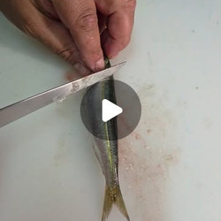 Sardine Preparation