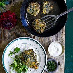 Lentil Keftedes &amp; Dill Yoghurt
