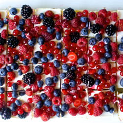 Cheesecake Bars With All The Berries