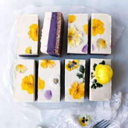 Blueberry Lemon Cheesecake (raw, Vegan &amp; Grain-free)