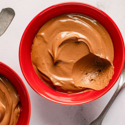 2-ingredient Chocolate Yogurt Pudding