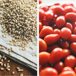 Ratatouille Barley Salad