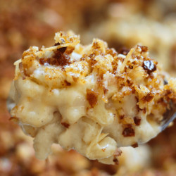 Mac &amp; Cheese with sourdough discard