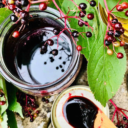 Elderberry Syrup &amp; Gummies