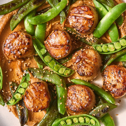 Scallops &amp; Sugar Snap Peas With Miso Mustard