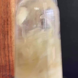 Boiled Egg Mayonnaise
