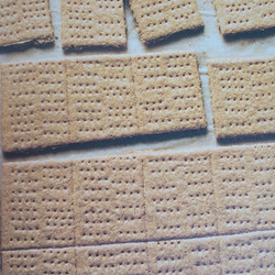 Graham Crackers -Zoe