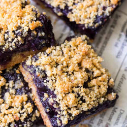 Blueberry Crumb Bars