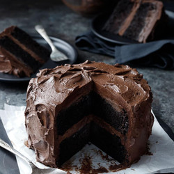 Ultimate Chocolate Cake With Fudge Frosting