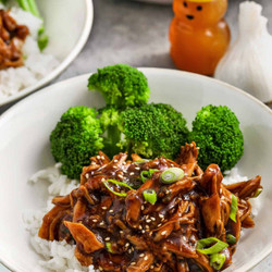 Slow Cooker Honey Garlic Chicken