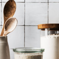 Basic Sourdough Starter Guide