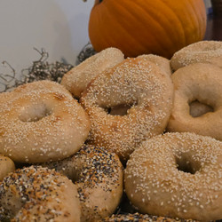 Sourdough Bagel Recipe