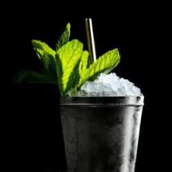 Mint Julep