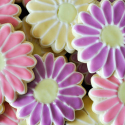 The Best Rolled Sugar Cookies