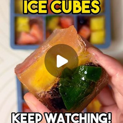 Freezing Sea Moss &amp; Smoothie Ingredients Into Ice Cubes