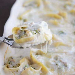 Chicken And Broccoli Alfredo Stuffed Shells