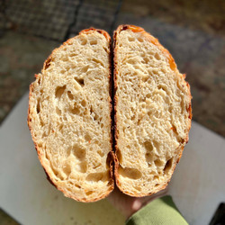 Caramelized Onion Sourdough Bread